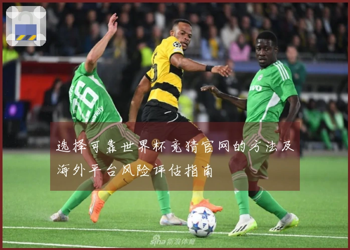 选择可靠世界杯竞猜官网的方法及海外平台风险评估指南