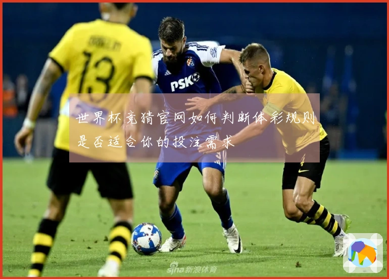 世界杯竞猜官网如何判断体彩规则是否适合你的投注需求