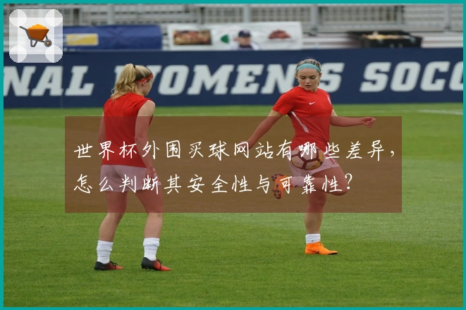 世界杯外围买球网站有哪些差异，怎么判断其安全性与可靠性？
